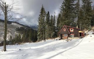 Childhood's Dream Cabin - 5