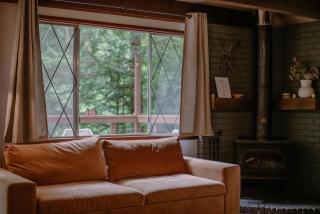Fog & Fern Hideaway - Cozy Cabin w Private Hot Tub near Mt Rainier - 5