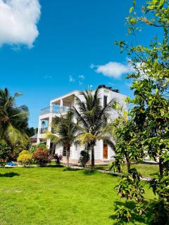 Palm Paradise - 8