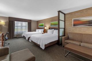 Holiday Inn Hotel & Suites Edmonton Airport Conference Centre by IHG - 6