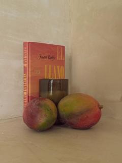 Aahal 4 Holistic Living Retreat en Tulum 4pax - Tulum - 1