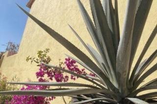 Casa de los Angeles Encanto en Tequisquiapan 6p - 7