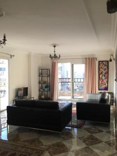 Cairo Downtown Serene Luxury Skyline Views - 0