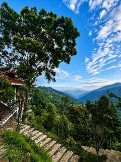 House On The Clouds Farmstay- Relling - 4