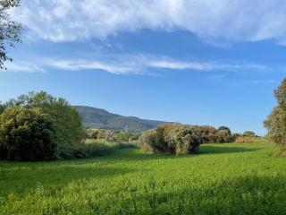Barcelona Suburban Hot Spring Village CASA MINA Olive Room One Bed Exclusive Suite - 3