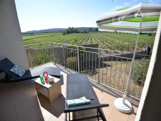 Apartment in Azille near Lac de Jouarres - 9