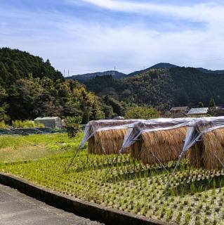 Yado Ajimu - Vacation STAY 35712v - 8