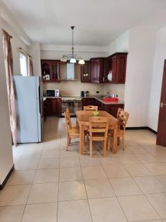 Spacious Furnished 3-Bedroom Apartment near UNECA - 2