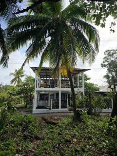 Hotel Pura Natura Beachfront Tortuguero - 0
