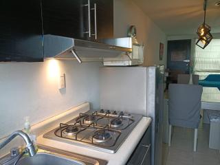 Entire serviced apartment, downtown and GNP 15 minutes away - 1
