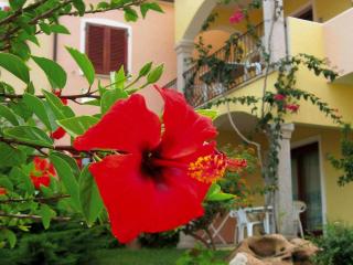 Apartment in Badus with communal Pool - 2