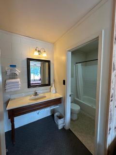 Paris Landing Motel - 1