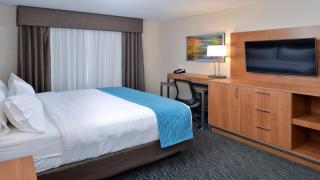 Holiday Inn Hotel & Suites Edmonton Airport Conference Centre by IHG - 6