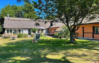 Pet Friendly Home In Borrby With Sauna - 3