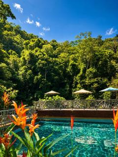 Private Nature Retreat Plus Hot Springs, Breakfast and Parking - 8