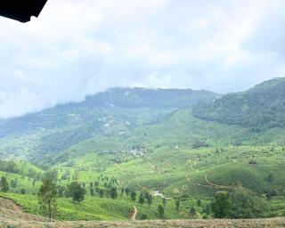 The Nirvana Resort Munnar - 4