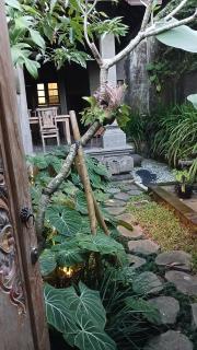 Sayan Rooms - Upper Level, Quiet & Private - 2