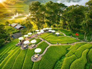 MT House Sa Pa - Mountain & Terraced fields View And Trekking Tour - 8