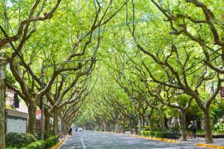 Crowne Plaza Shanghai by IHG - 9