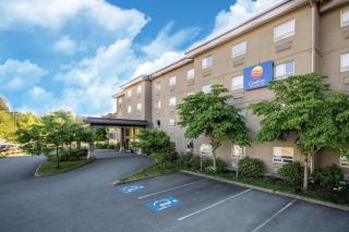 Comfort Inn & Suites - 0