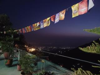 Pahadi Basera Kasauli - 6