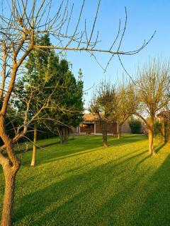 Casa mendocina con gran jardín y parrilla - 5