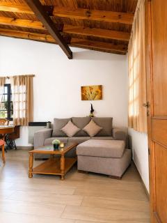 Casa mendocina con gran jardín y parrilla - 3