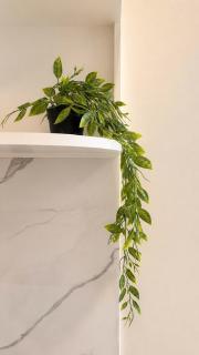 Levi Living - An Thuong 19 - 2