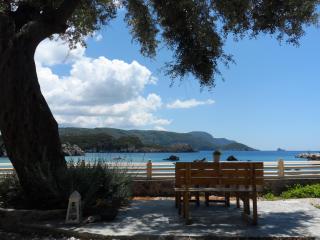 Kalypso Studio - Paleokastritsa - 5