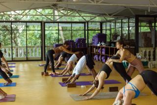 Sampoorna Yoga Retreat - 9