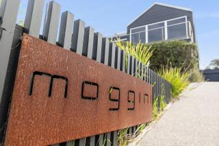 Moggini - 7