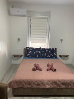 Lotus house - 6