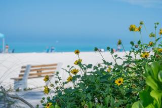 Coastal Beach Retreat - 9