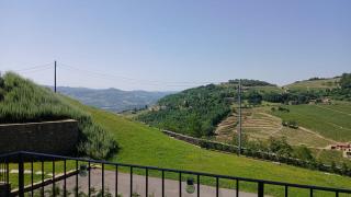 Il Castellino - group apartments Loazzolo by Italita - 6