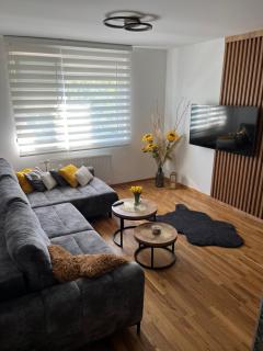 Apartment Paso - 6