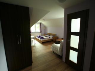 Chata NIVY, Karlovy Vary - 2