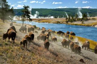 Scenic Island Park Cabin with Private Hot Tub & ATV Access Near Yellowstone, Idaho - 5