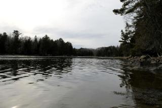 Beautiful Log Cabin Surrounded by Trees by Saltwater Tidal Cove for a Peaceful Getaway in Sullivan, Maine - 3