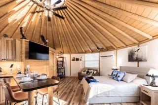 Cozy Yurt Hideaway with Tranquil Forest Surroundings in Murray, Kentucky - 3