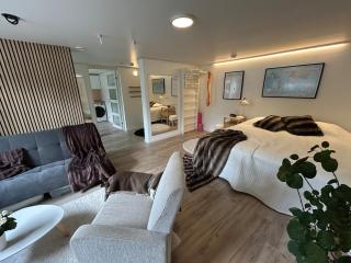 One floor apartment in a house in Kauniainen with good connections - 0