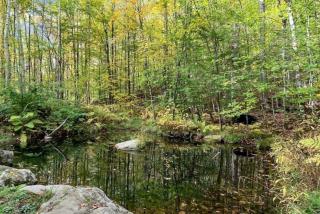 Adventure-Filled Off-Grid Treehouse near White Mountain National Forest, Stoneham, Maine - 7
