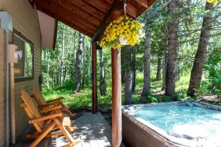 Secluded Island Park Cabin with Hot Tub Near Yellowstone & Henrys Lake, Idaho - 3
