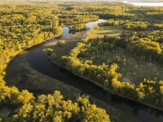 Unique Treehouse Retreat with Hot Tub & Private Sauna in Mission Township, Minnesota - 0