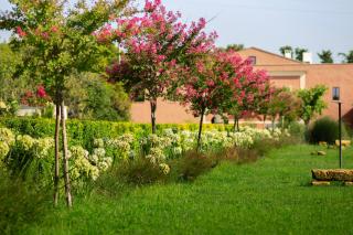 Villa ArboreA - 7