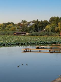 Sol 2 Lake House Snagov - 30 Mins to Bucharest - Slow Living - 9