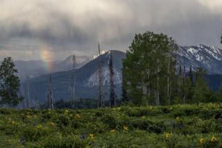 Mountain Getaway with Lake Access & Outdoor Adventures in Idaho - 6