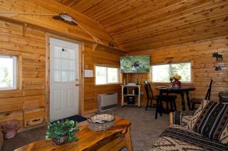 Peaceful Cabin with Fire Pit & Endless Trail Adventures in Island Park, Idaho - 6