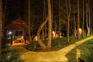 D-Hill Village - 3