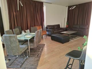 Belgrade Waterfront PENTHOUSE with Private Jacuzzi - 9