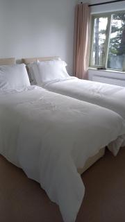 Fuchsia Cottage Glandore - 9
